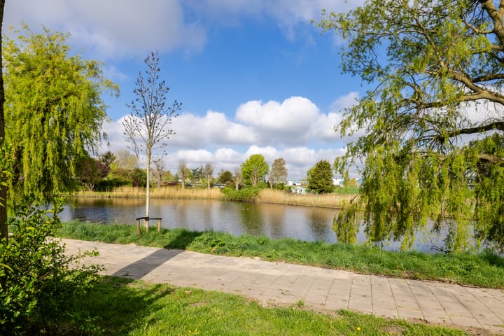 Foto 34 van Seevank 136