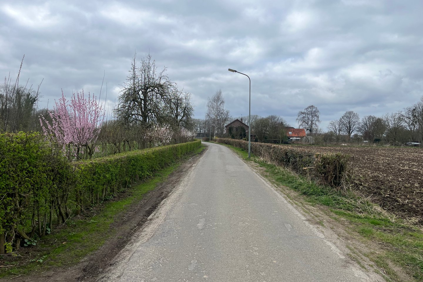 View photo 4 of Boekenderweg 4