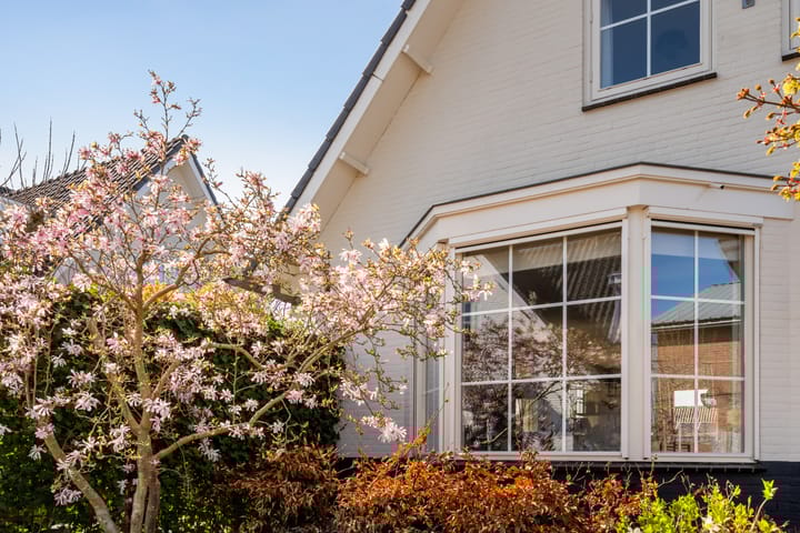 Photo 17 of Buxushof 4