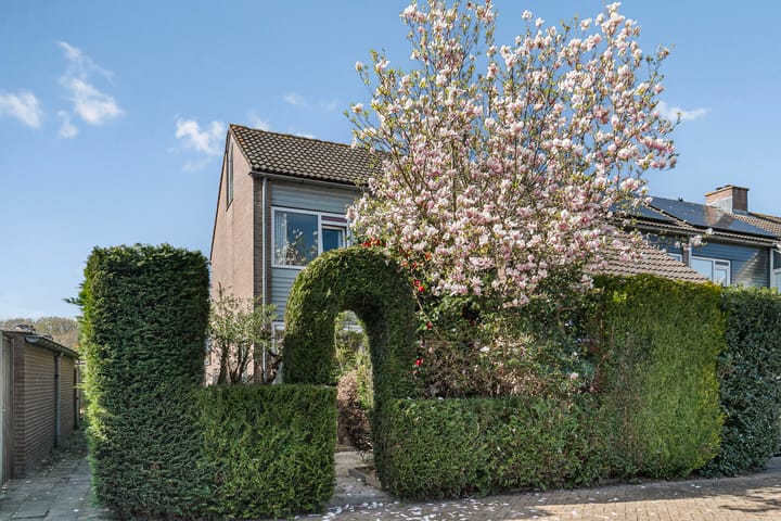 Foto 2 van Liniestraat 85