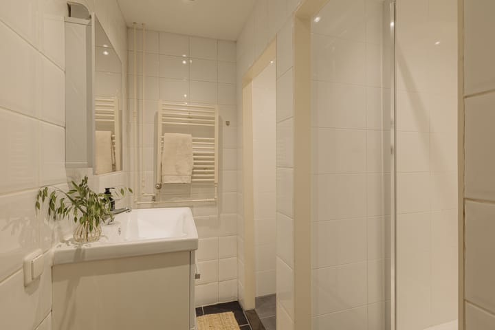 Foto 9 van Haarlemmermeerstraat 61