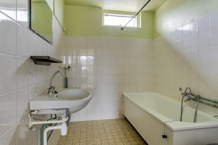 Foto 18 van Ganzepeppel 32