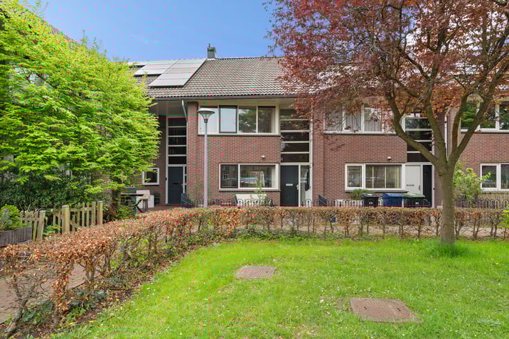 undefined main image