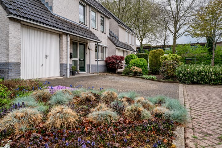 Foto 6 van Klaroen 9