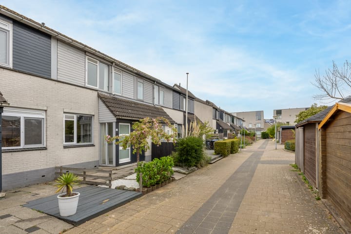 Foto 28 van Heintje Davidspad 55