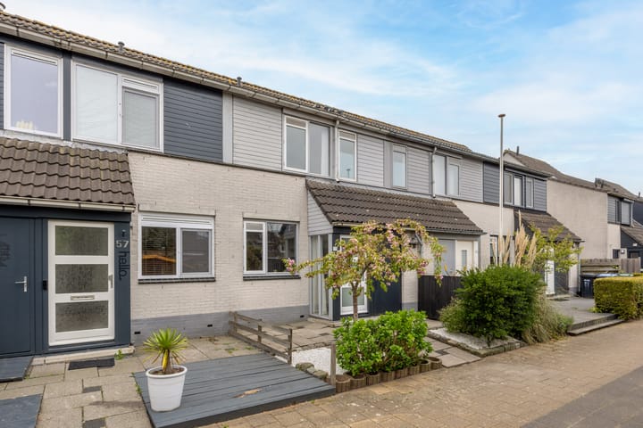 Foto 31 van Heintje Davidspad 55