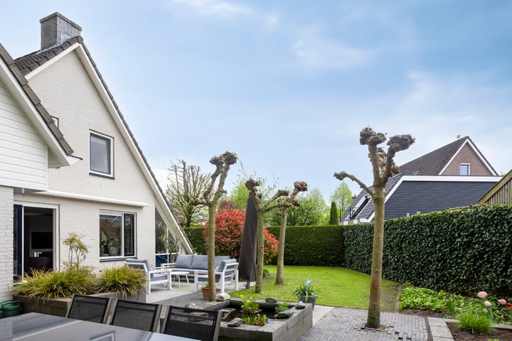 Foto 2 van Houtduif 15