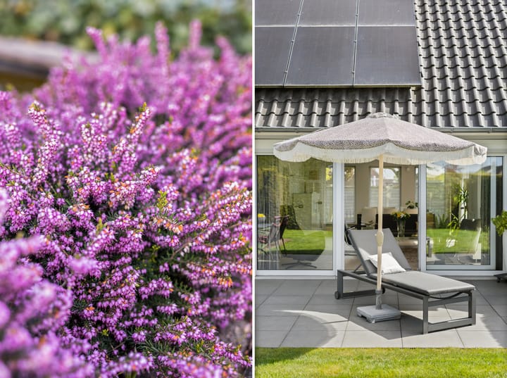 Foto 32 van Aelbert Cuypstraat 1