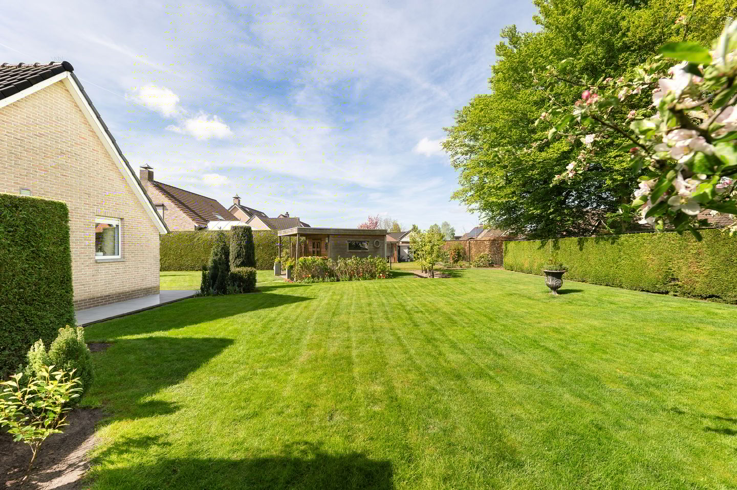 Foto 34 van Aelbert Cuypstraat 1