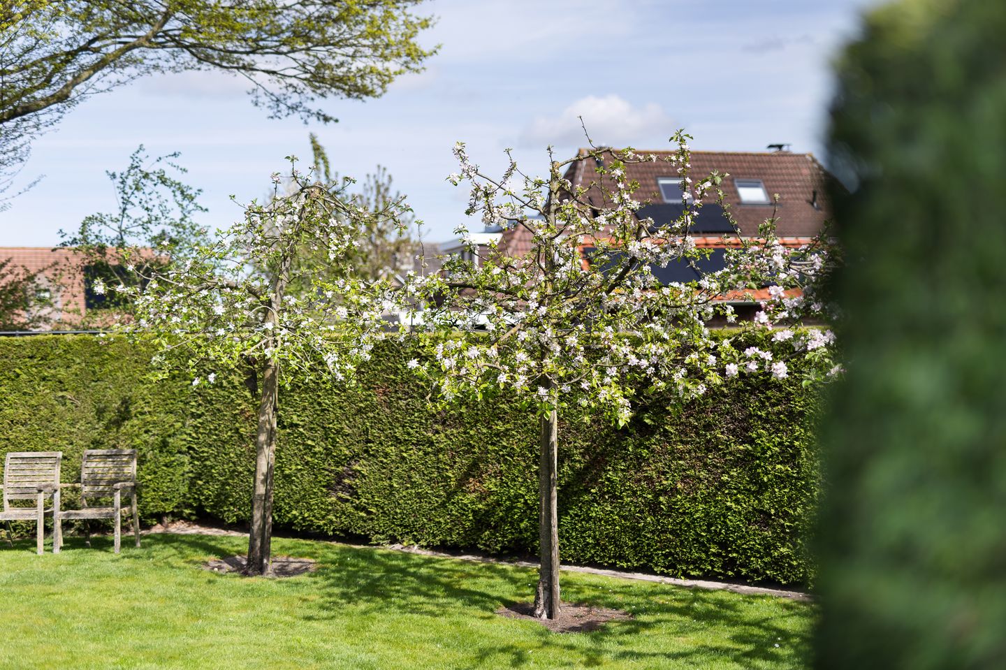 Foto 35 van Aelbert Cuypstraat 1