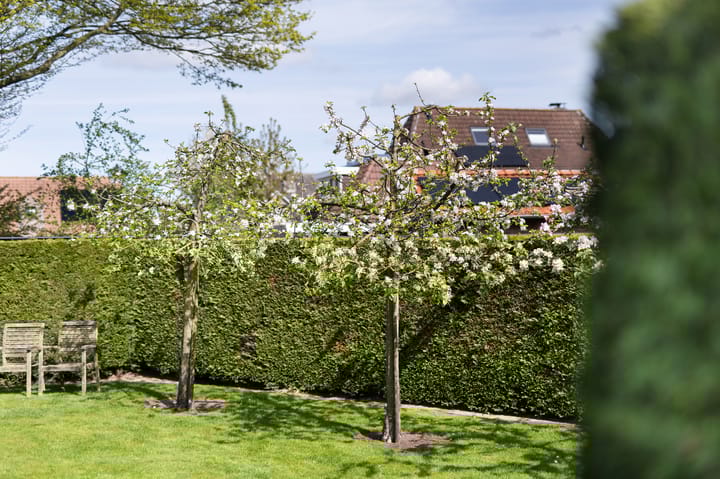 Foto 35 van Aelbert Cuypstraat 1