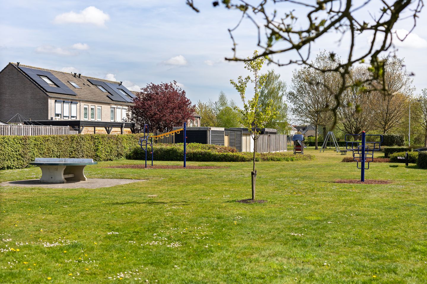 Foto 40 van Aelbert Cuypstraat 1