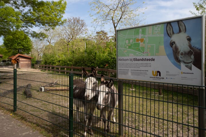 Foto 32 van Aziëlaan 586