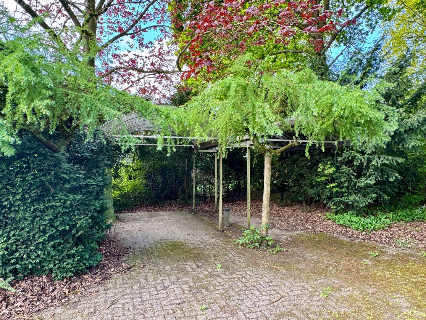 Photo 79 of Dennenweg 4-A