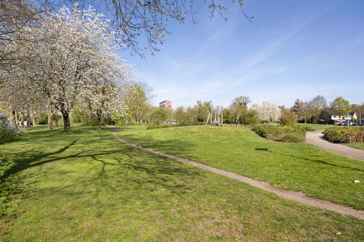 Foto 42 van Drilscholtenstraat 1