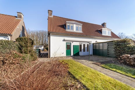 undefined main image