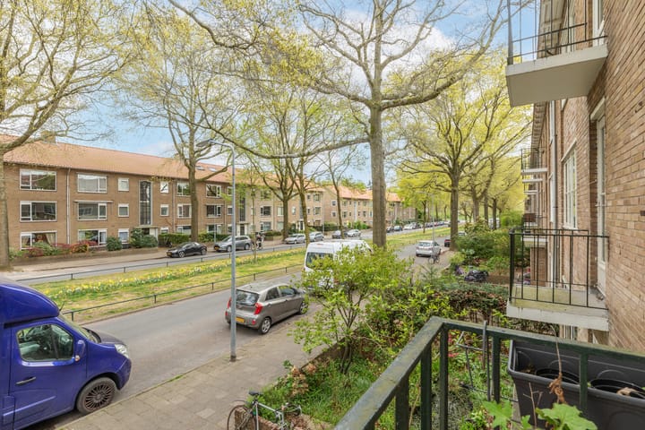 Foto 8 van Bosdrift 144