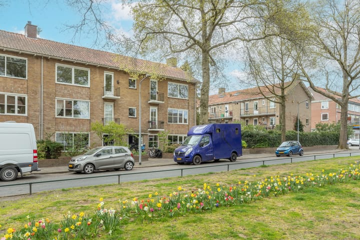 Foto 31 van Bosdrift 144