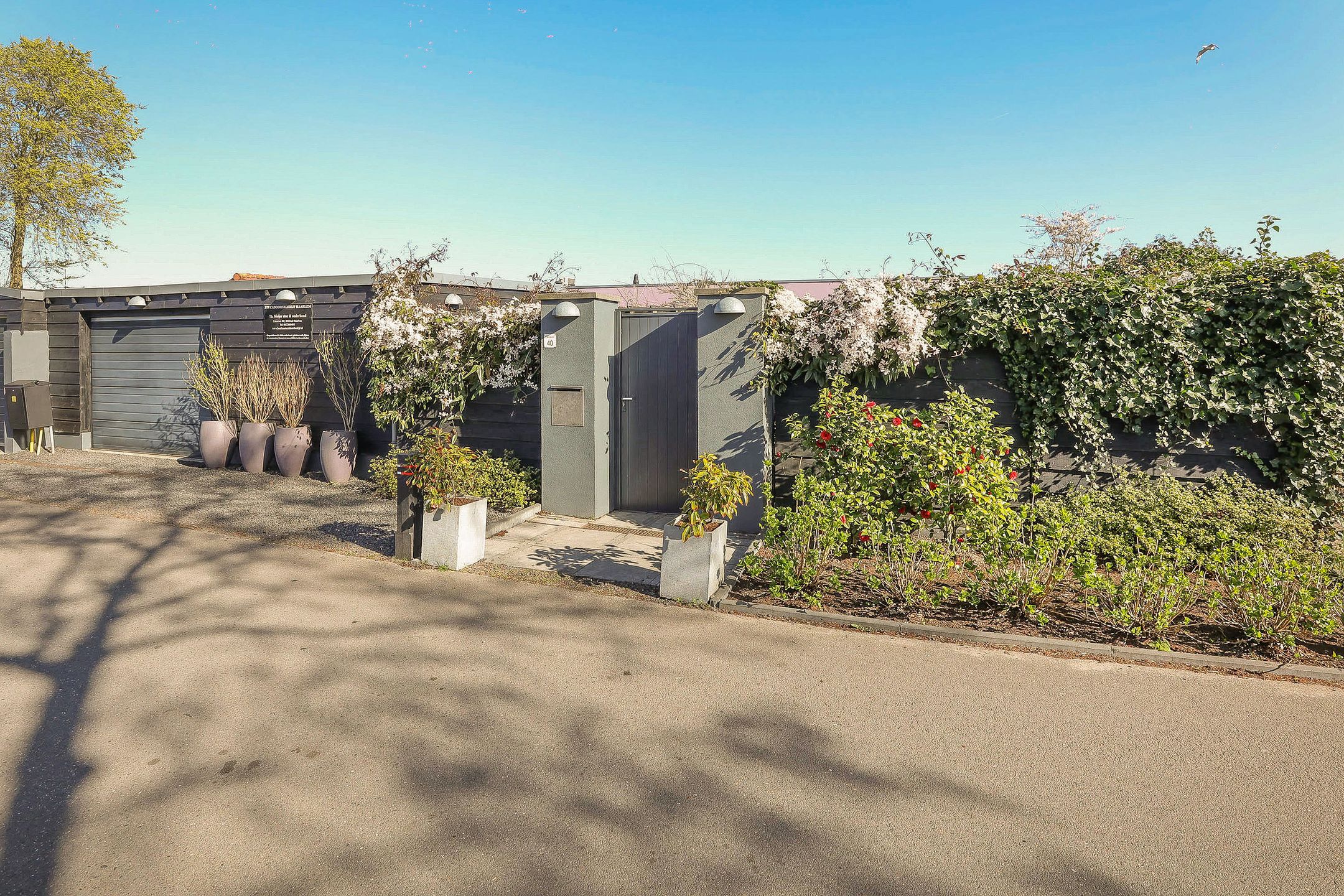 Foto 60 van Lieoever 40