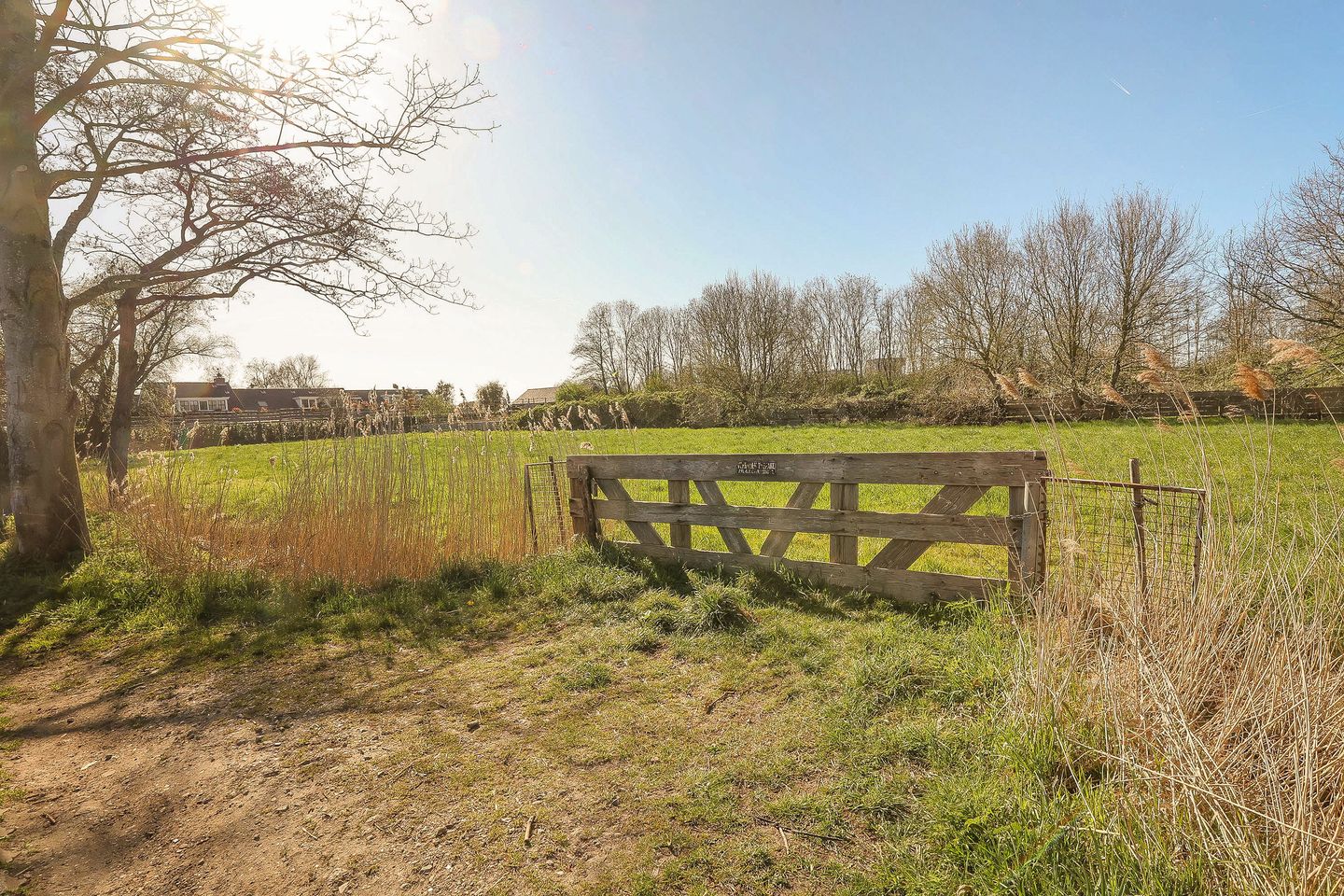 Foto 64 van Lieoever 40