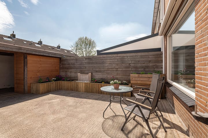 Foto 16 van Korenbloem 15