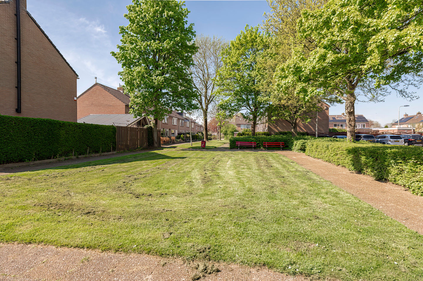 Foto 40 van Korenbloem 15