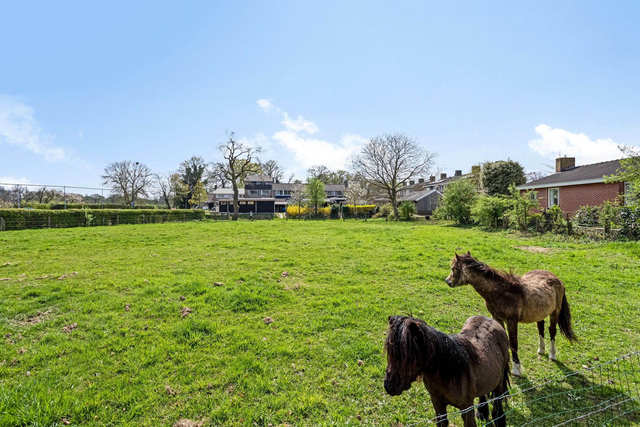 Foto 57 van Bredevoortsestraatweg 64-A