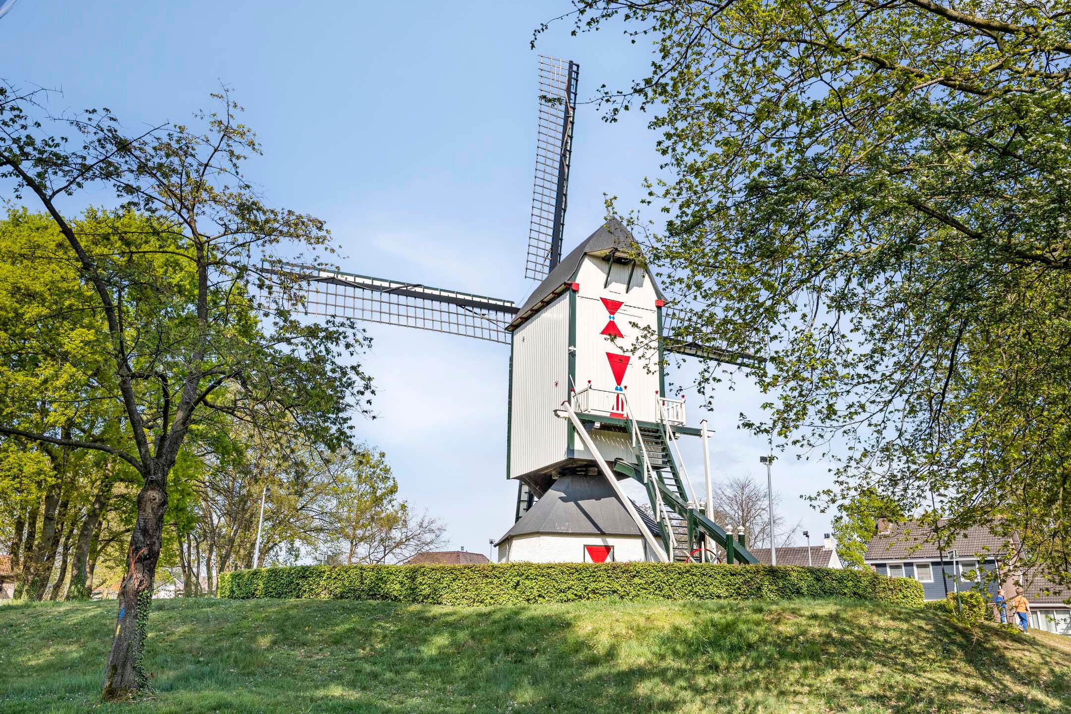 Foto 63 van Michiel de Ruyterlaan 10