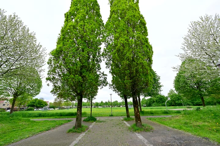 Foto 22 van Groene Kamer 23