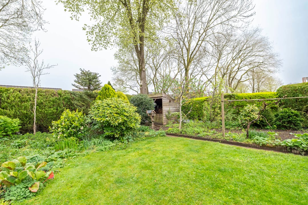 Photo 31 of Boswachtersveld 612