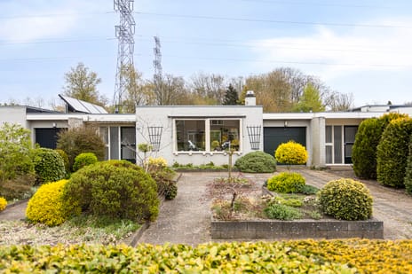 undefined main image