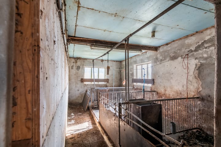 Foto 37 van Benedeneind NZ 394