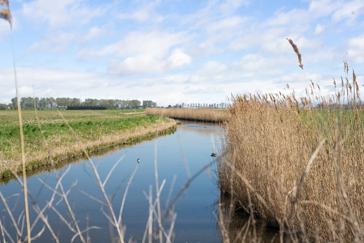 Foto 47 van De Lane 5