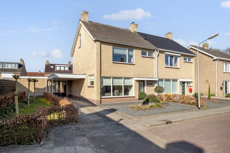 undefined main image