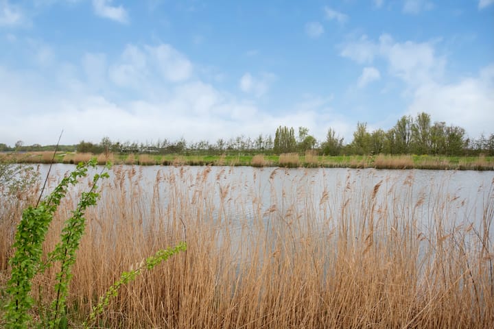 Foto 25 van Corbuloschans 2