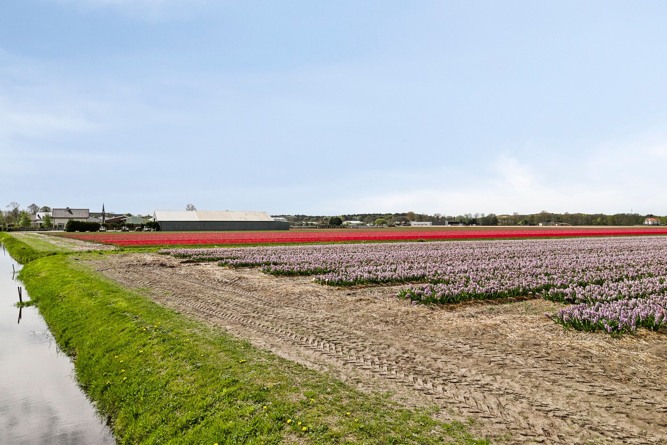 Foto 24 van Duinschooten 12-329