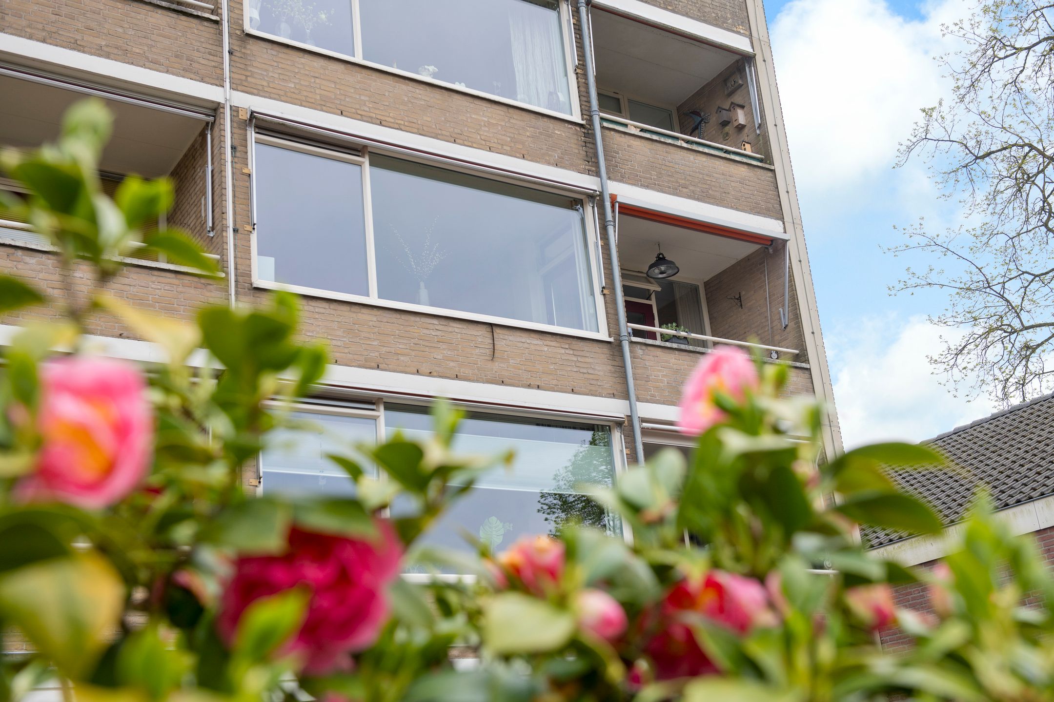 Photo 3 of Steijnweg 7-F