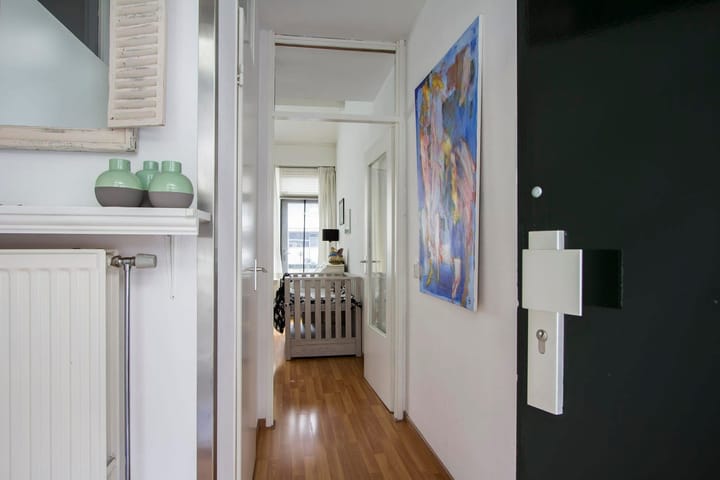 Photo 11 of Agricolastraat 108