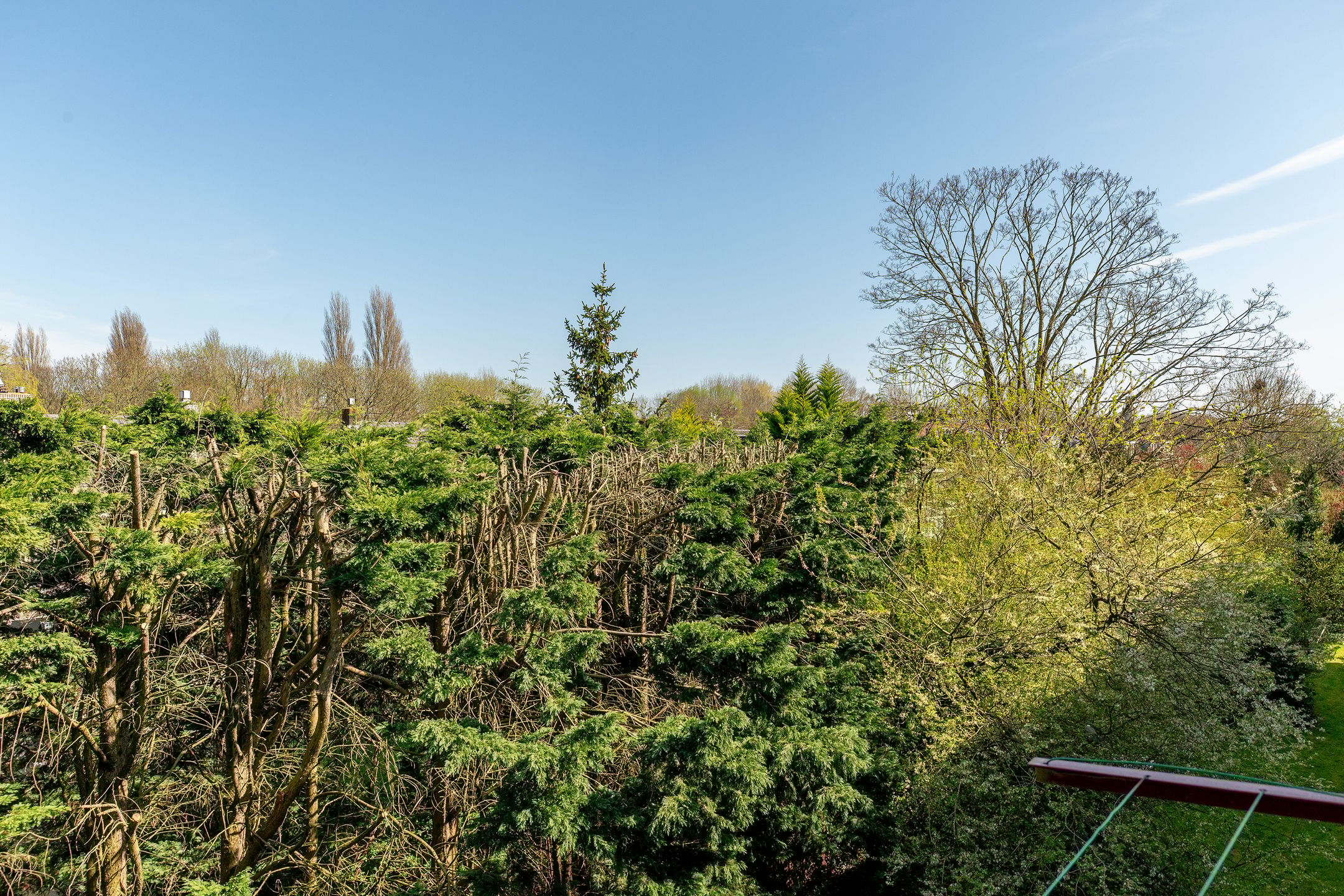 Foto 21 van Burgemeester Baumannlaan 91-C