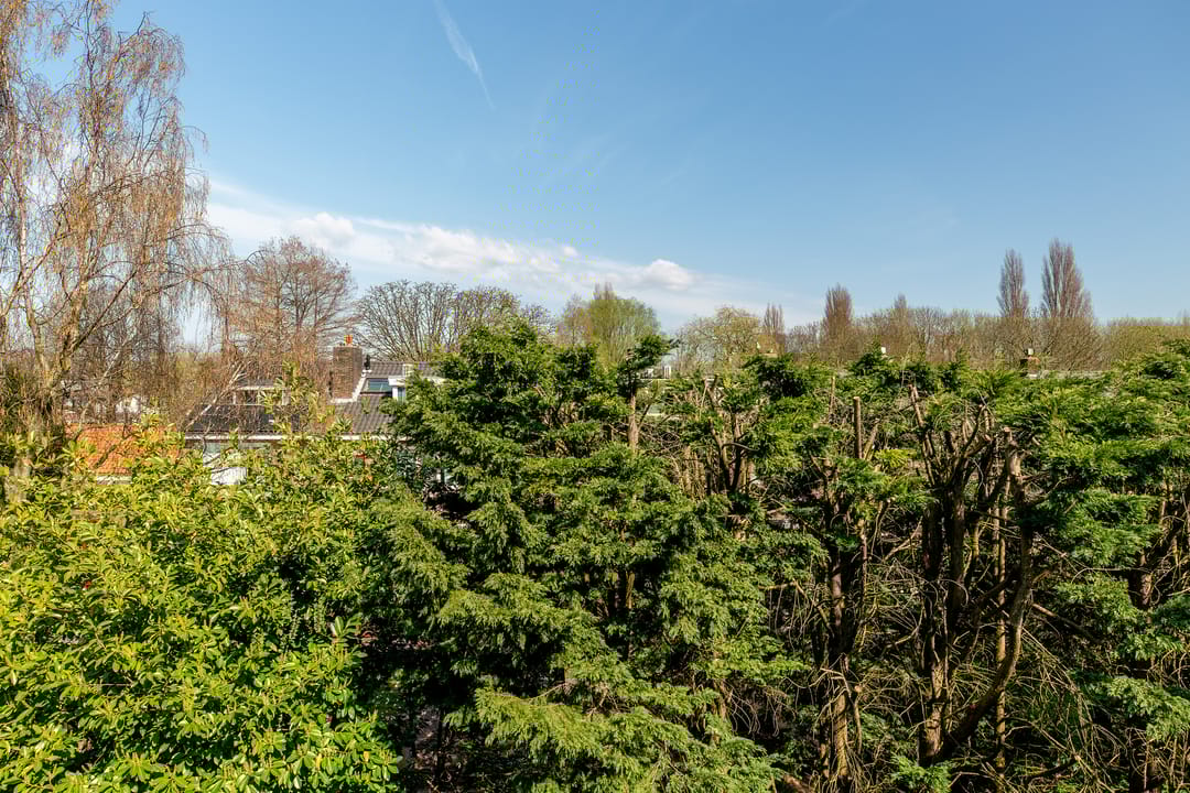 Foto 22 van Burgemeester Baumannlaan 91-C