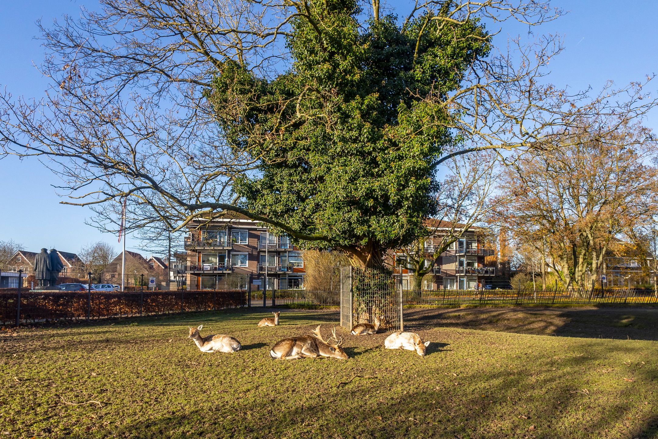 Foto 69 van Vervoornestraat 12