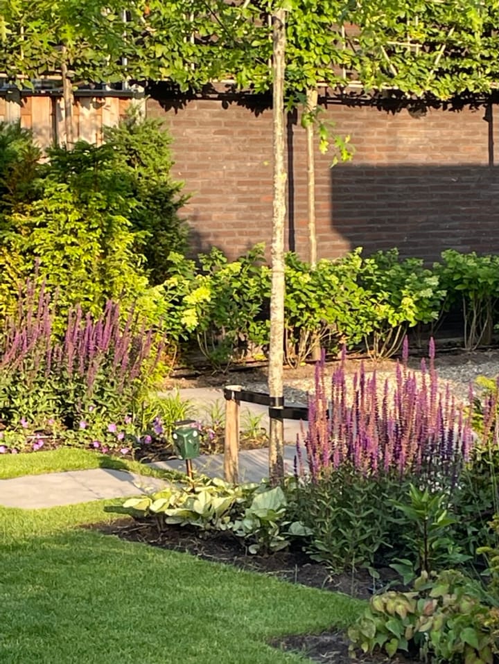 Foto 52 van Zeepkruidstraat 129