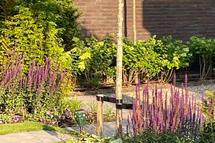 Foto 52 van Zeepkruidstraat 129