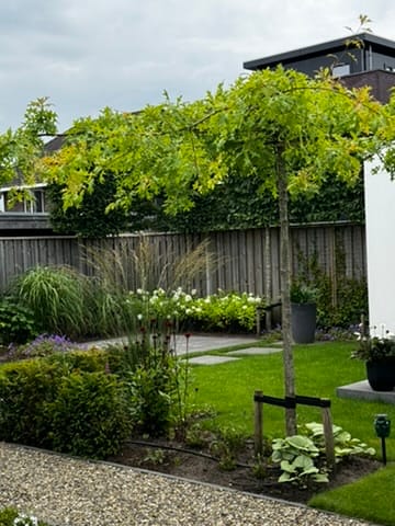 Foto 54 van Zeepkruidstraat 129