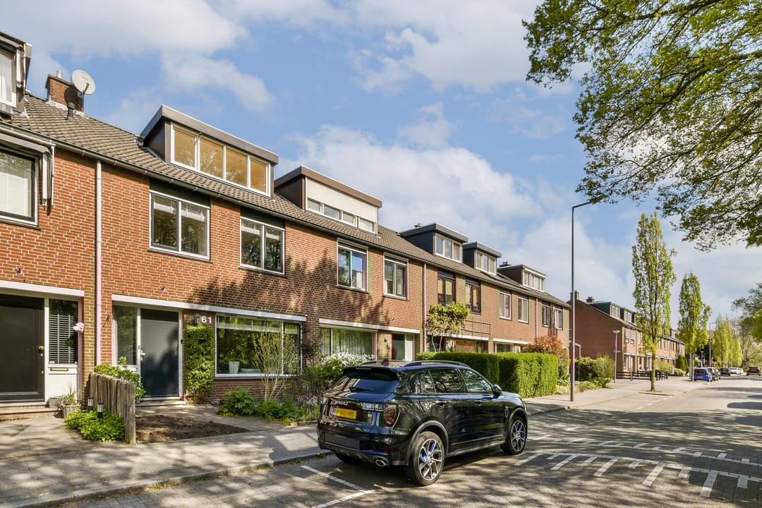 Photo 1 of Fluitekruid 61