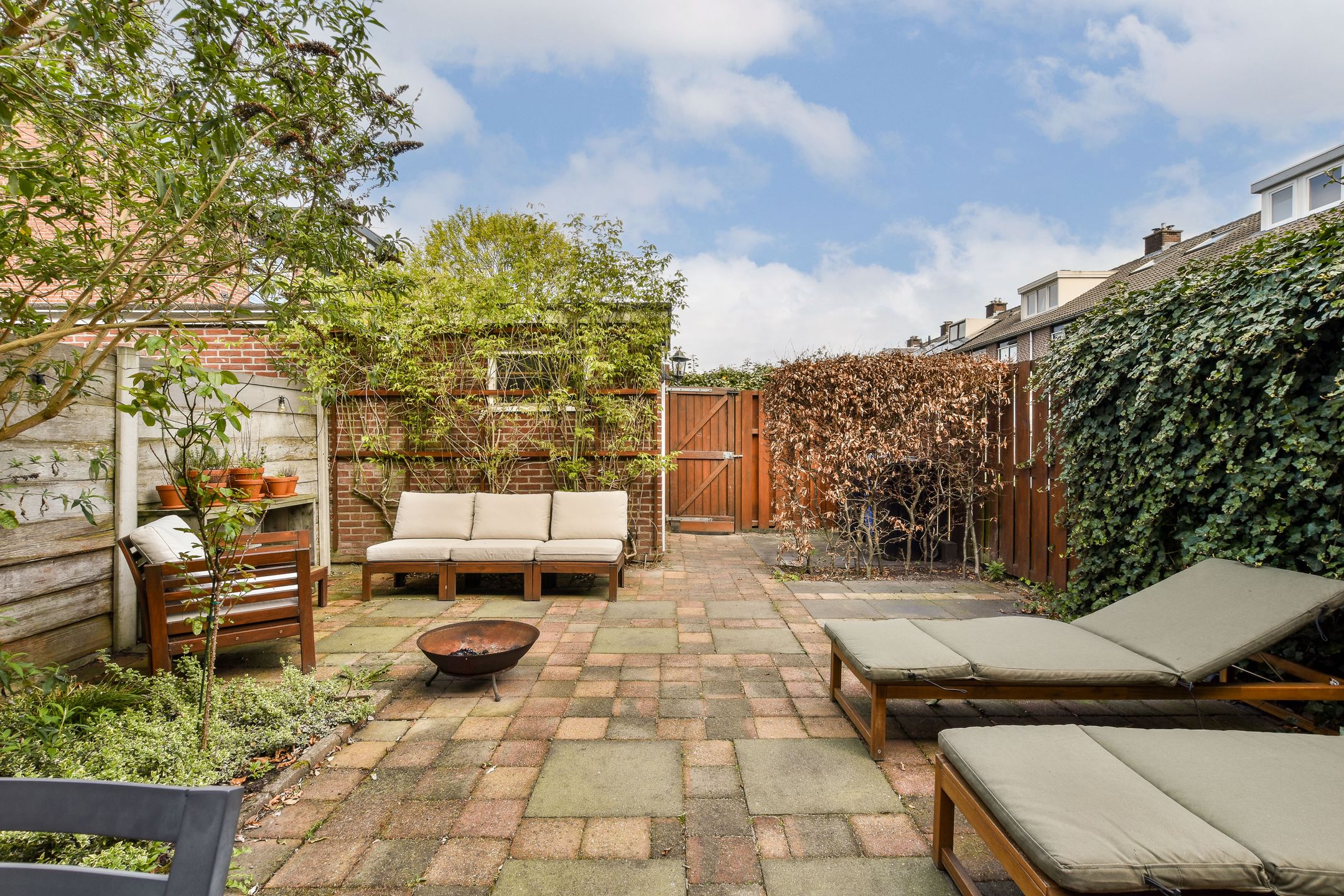 Photo 3 of Fluitekruid 61