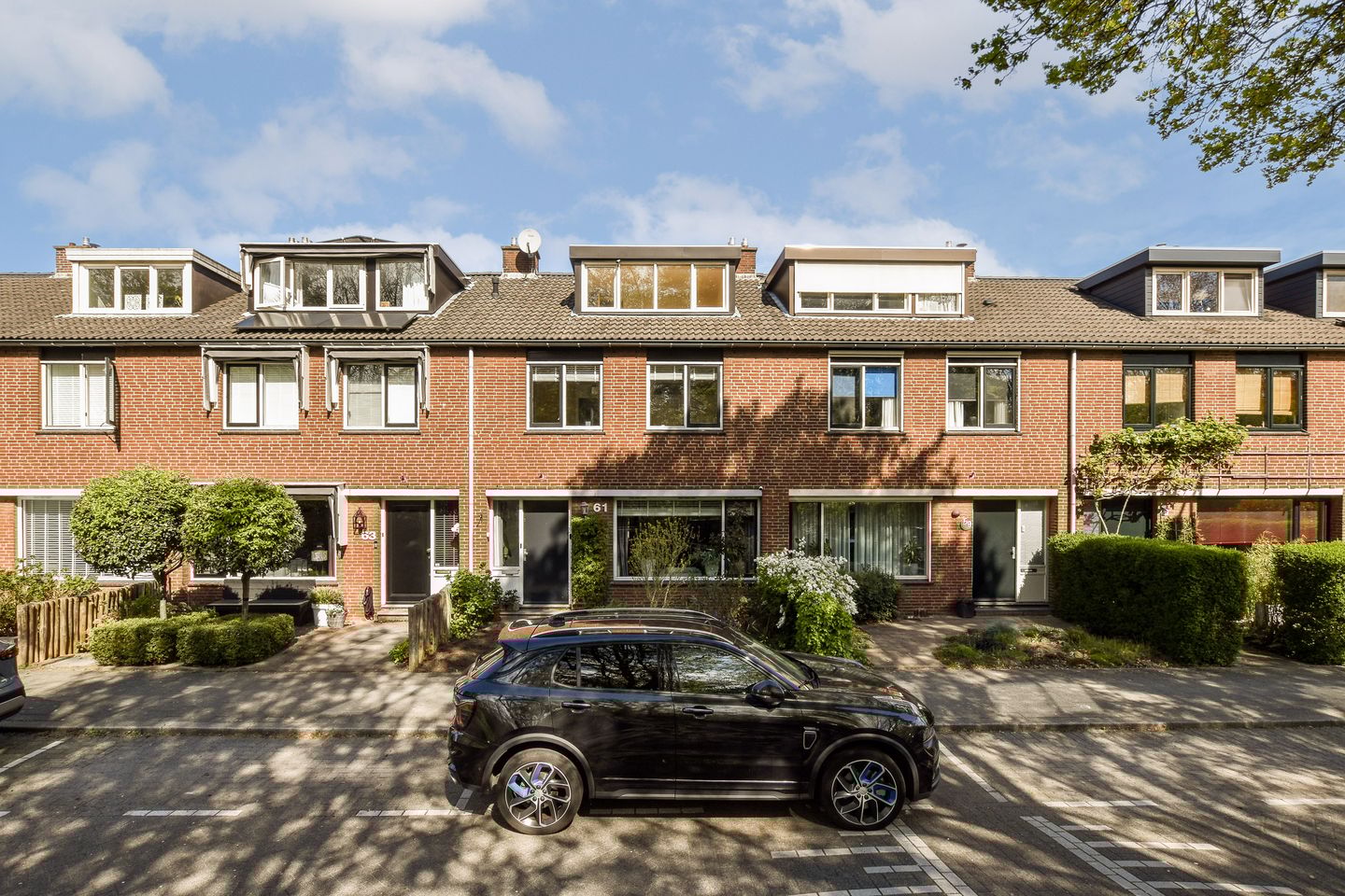 Photo 4 of Fluitekruid 61