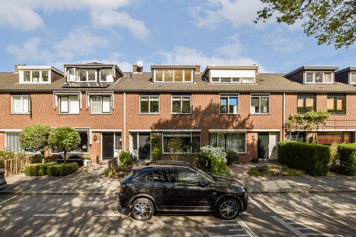 Foto 4 van Fluitekruid 61