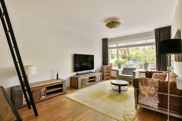 Foto 5 van Fluitekruid 61