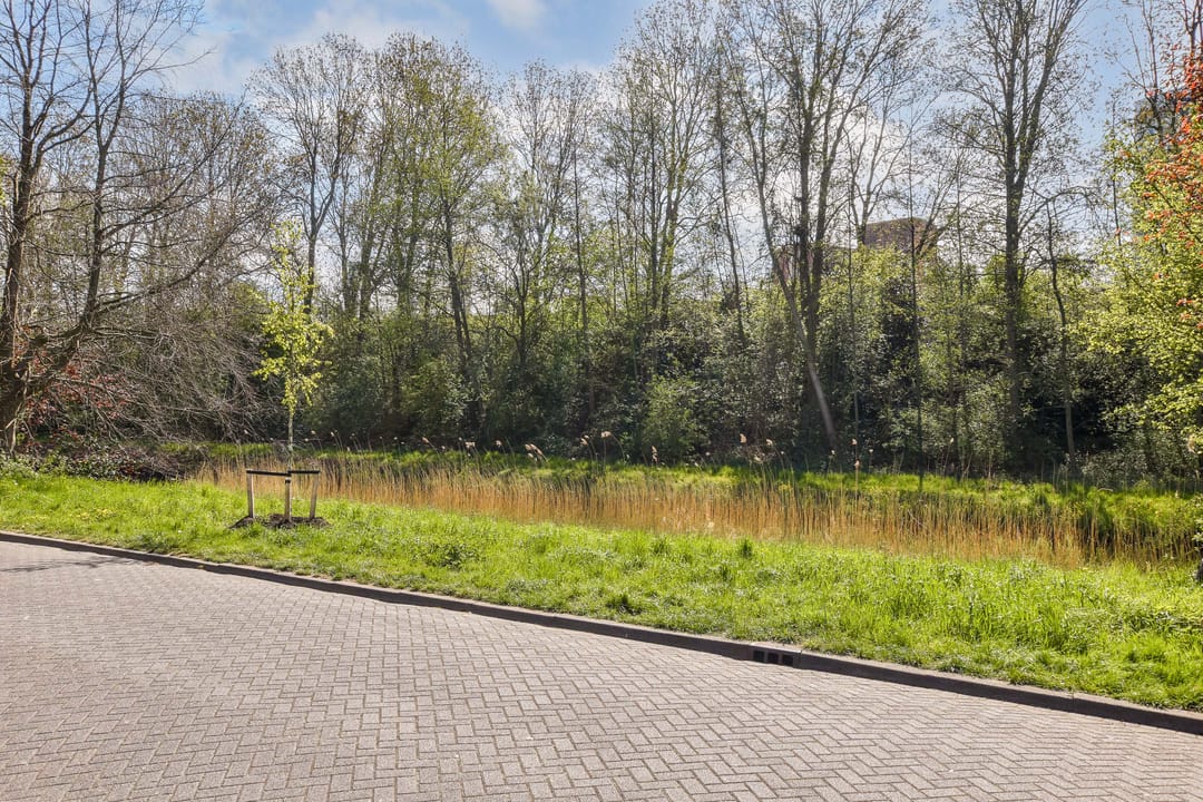 Photo 31 of Fluitekruid 61